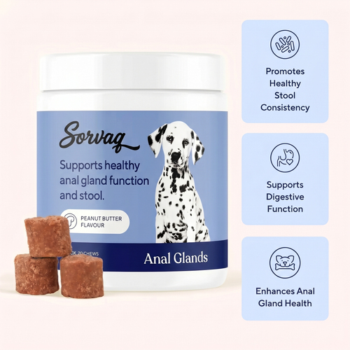 The Poop Firmer Peanut Butter Flavor