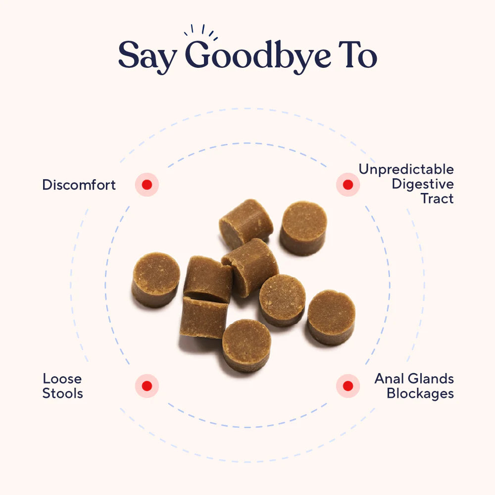 The Poop Firmer Peanut Butter Flavor