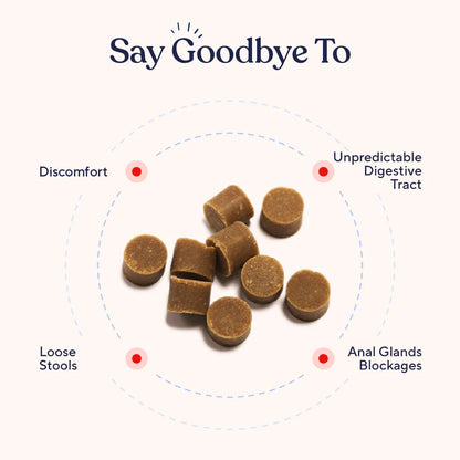 The Poop Firmer Peanut Butter Flavor